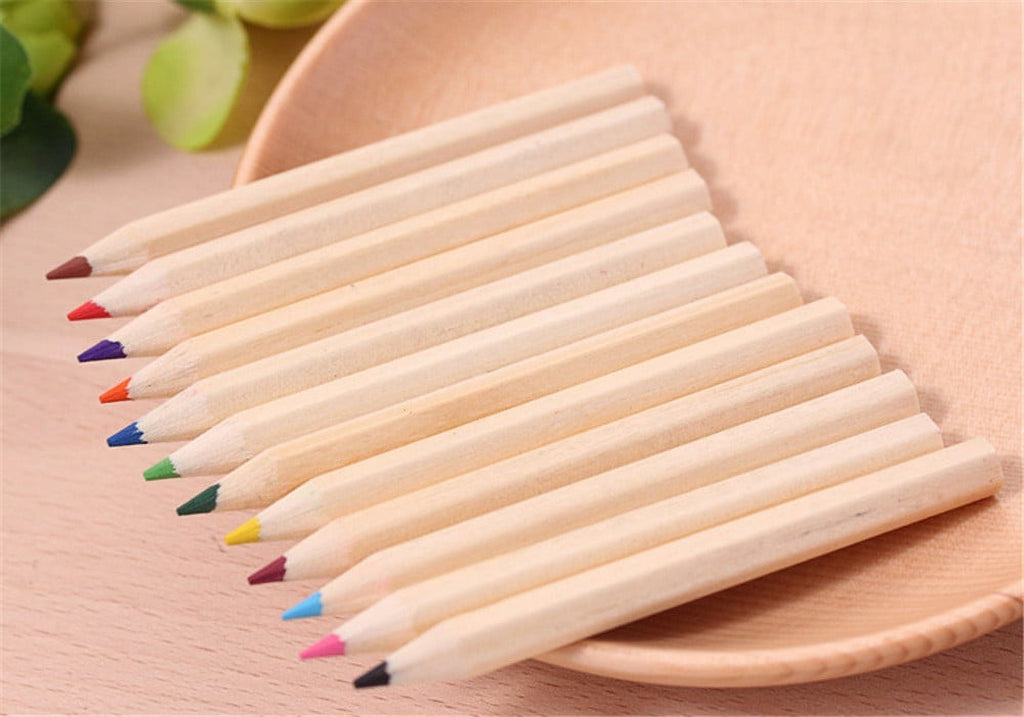 Nomeni HB Color Sketch Pencil (12 Count)