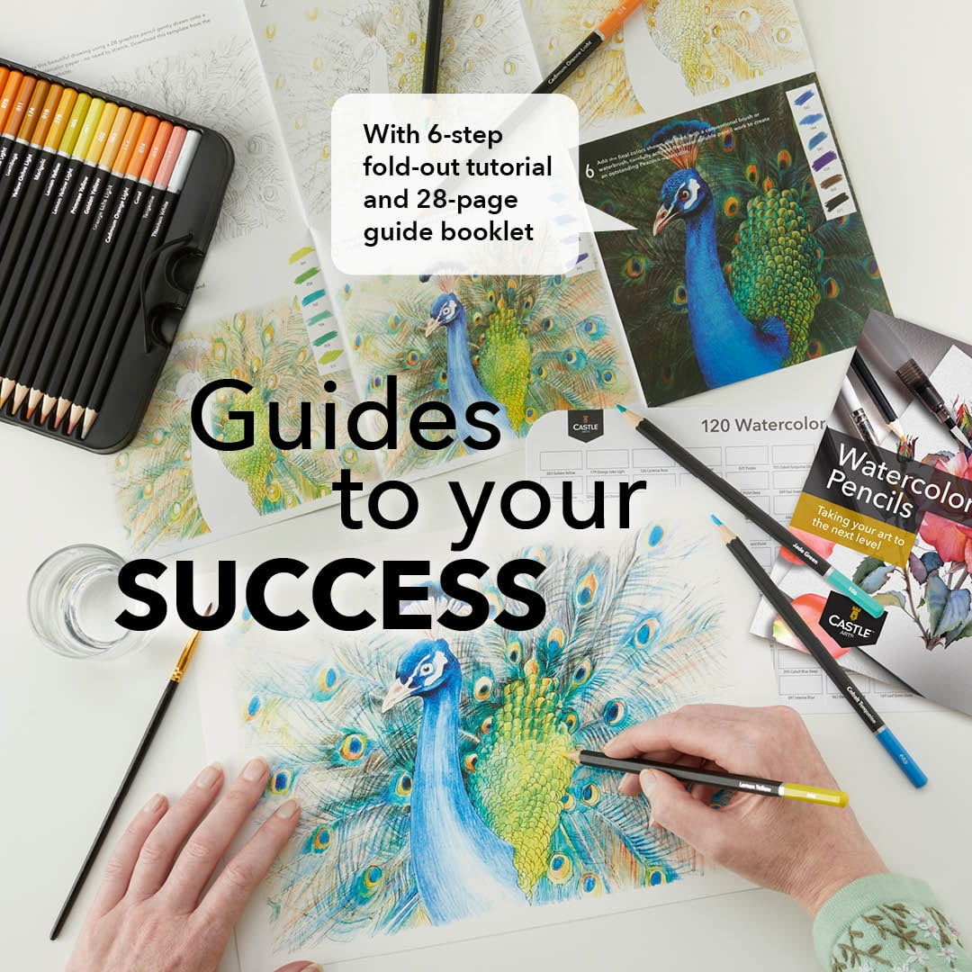 Castle Art Supplies 120 Watercolor Pencils Tin Set for Adult Artists and Professionals