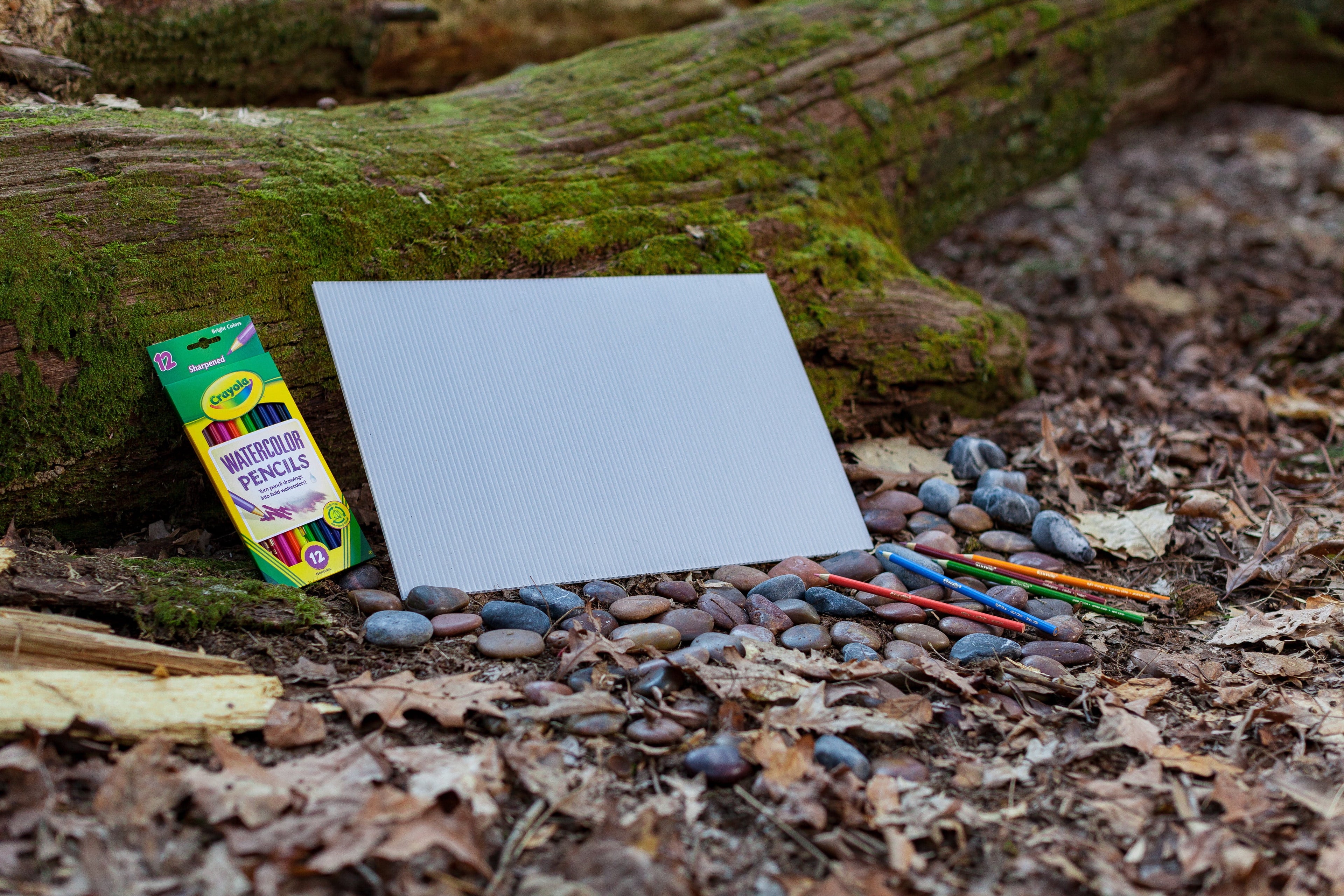 Crayola Watercolor Colored Pencils, 12 Count Use Wet or Dry